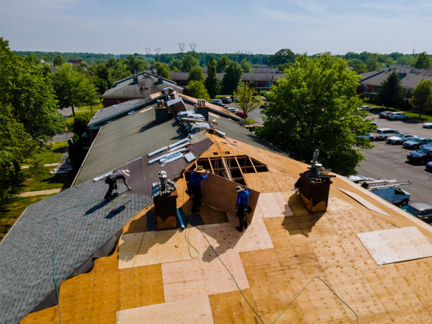 Roof Gutter Cleaning in Lorenzo, TX